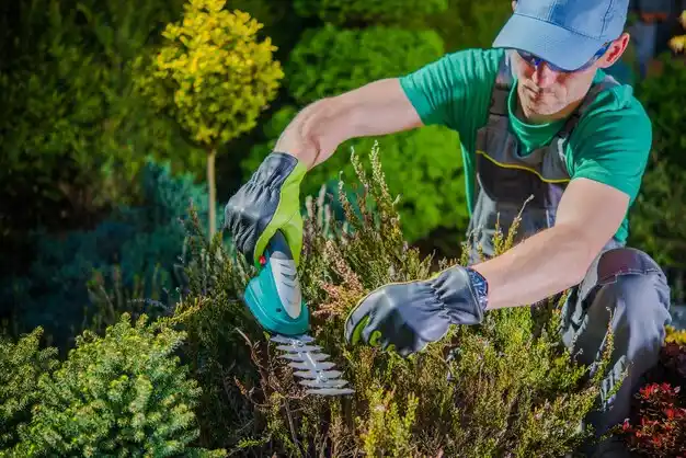 landscaping services Nelliston